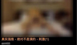 桃色视频在线观看免费,在线观看背后的真相与风险